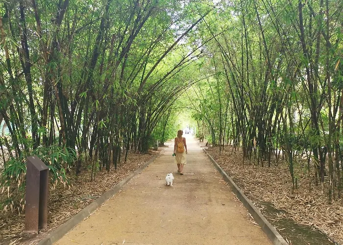 Home2book Spacious Classic Design Apto Sc Center Σάντα Κρουζ Τενερίφης